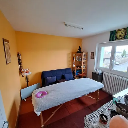 Chez Patrice Et Marieline F3 Usson-en-Forez